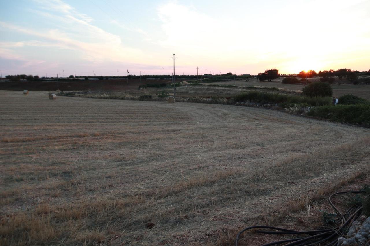 Séjour à la ferme Masseria Alberotanza *